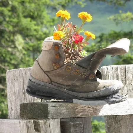 Hausmenneweger Apartman