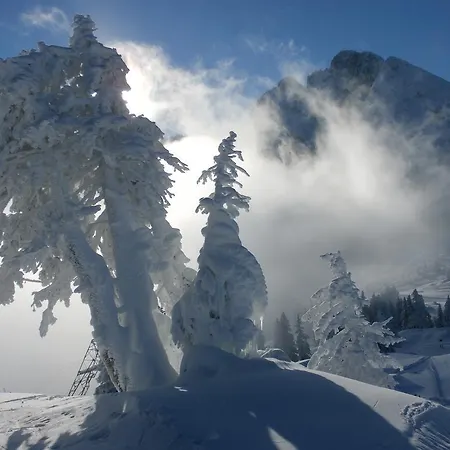 Hausmenneweger * Annaberg im Lammertal