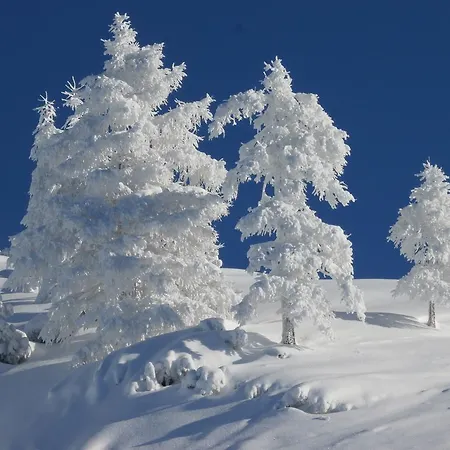 Apartman Hausmenneweger