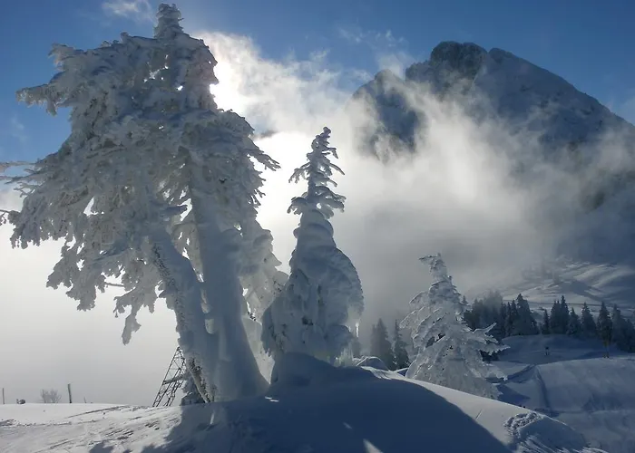 Hausmenneweger * Annaberg im Lammertal