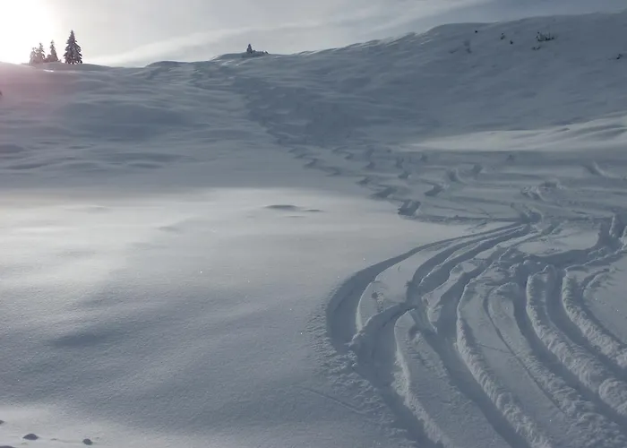 Hausmenneweger Apartament